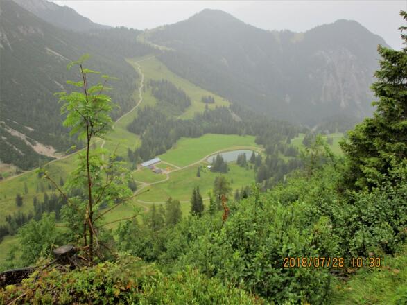 Blick vom Gulmasteig auf die Parpfienzalpe