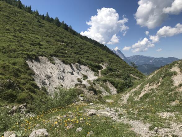 Wandern über Almwiesen