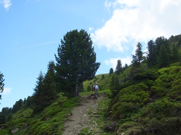 Weg Richtung Mittelstation