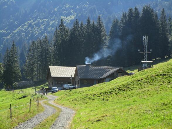 Auf der anderen Frutzseite erreichen sie die Untere Leuealpe am Netschelweg