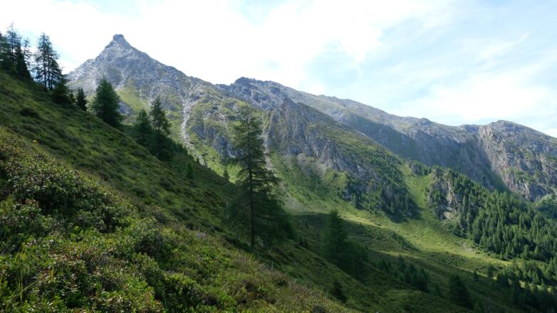 Blick auf die Hohe Warte (Hogerspitze)