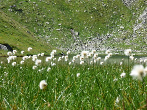 Foiskarsee