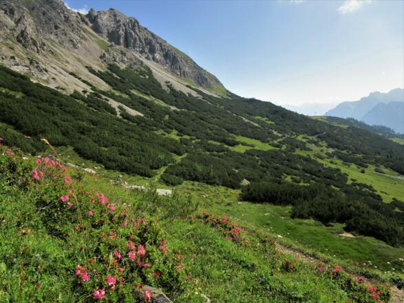 Bei Schönwetter viel einladender