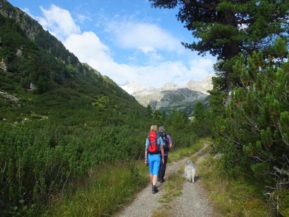 Der Weg Richtung Hütte
