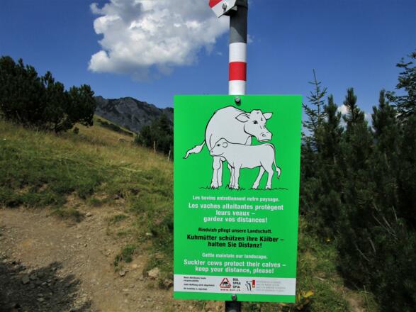 Bitte beachten sie die Hinweise zu ihrer eigenen Sicherheit