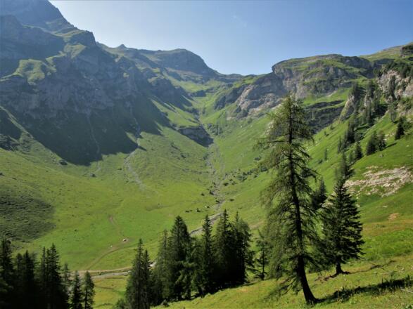 Blick in den Talschluss. Im Hintergrund das Barthümeljoch