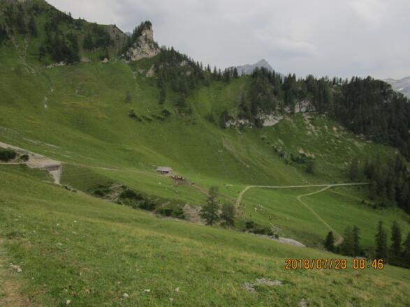 Blick auf die Setschalpe. Der Alpweg nach rechts ist unser Weiterweg