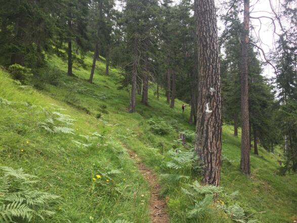 The trail from Elbigenalp to Stanzach