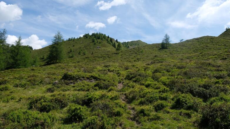 Abstieg über die Böden der Zirmaalm