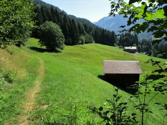 Sanft fallend führt der Wiesenweg gemütlich bis zur Furkastraße