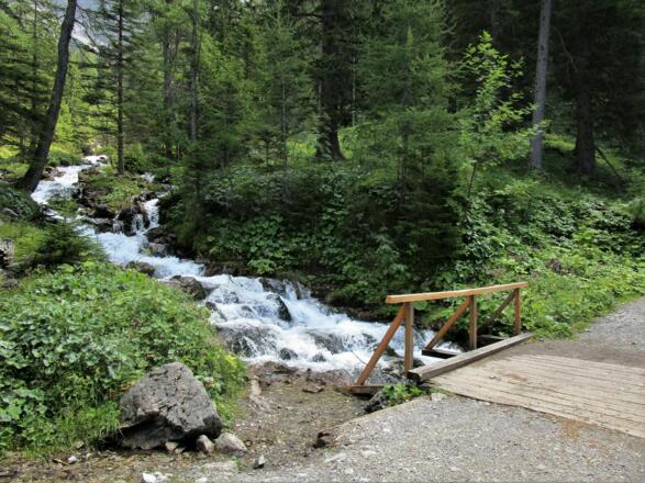Trotz trockenem Sommer 2018 sprudelt hier das Wasser unbekümmert ins Tal