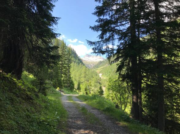 Path through the Alperschontal