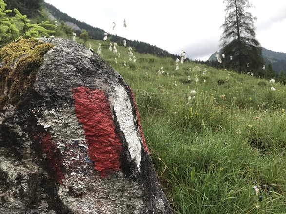 rot-weiße Wegmarkierungen begleiten Sie auf einem Großteil des Weges