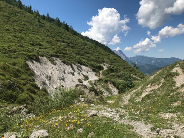 Wander through peaceful meadows