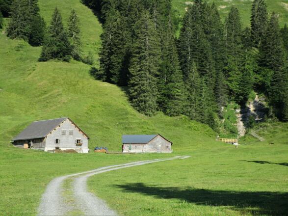 Ab dem Steg hinter der Hintergarnitzaalpe beginnt der Anstieg zur Unteren Saluveralpe
