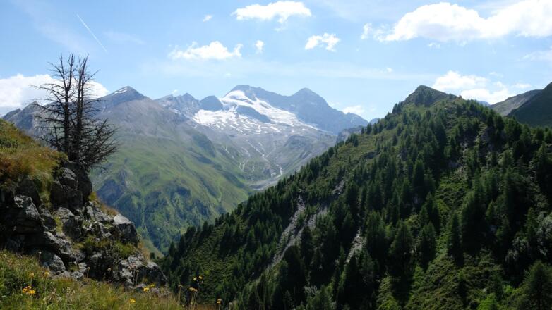 Blick auf Olperer und Fussstein