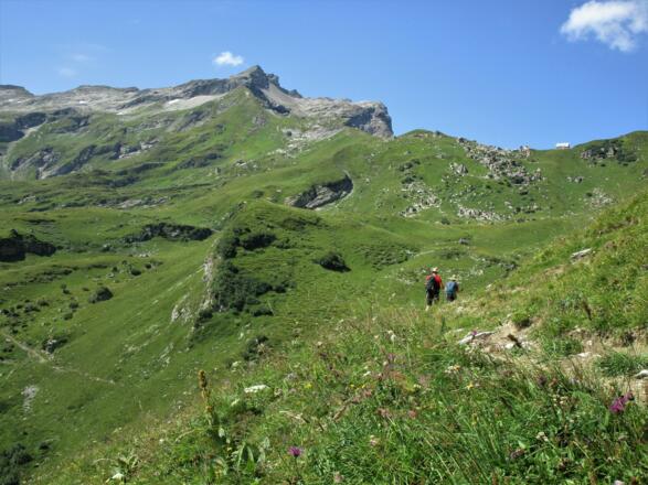 Durch blumenreiche Wiesen führt uns der Weg Richtung Bettlerjoch. Die Pfälzerhütte rechts vom Naafkopf ist schon zu sehen