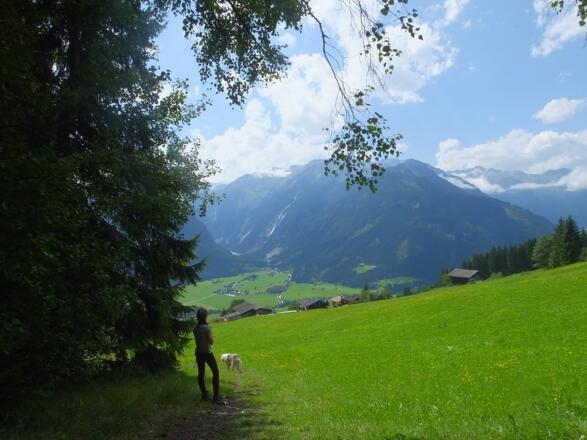 Weg Richtung Neukirchen