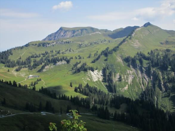 Blick vom Falben auf den Hehen Freschen und die Hohe Matona
