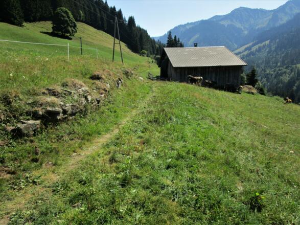 Die Alpwirtschaft garantiert das Offenhalten der Kulturlandschaft