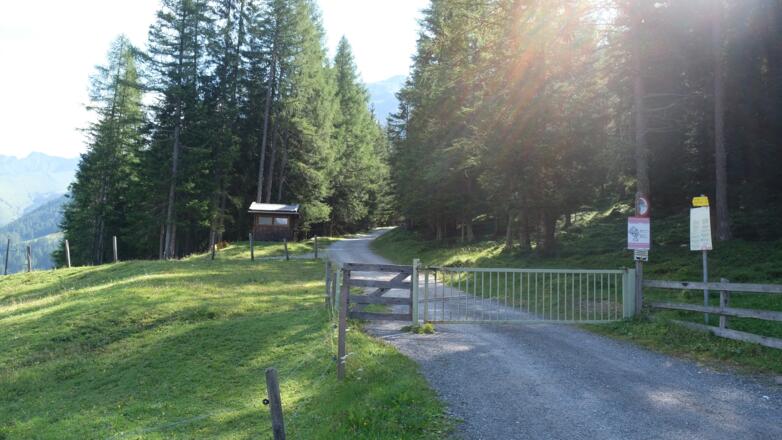 Start der Tour- Forstweg zur Kalten Herberge