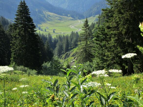 Der Blick zurück ins Garnitzatal zeigt die bereits zurückgelegten Höhenmeter