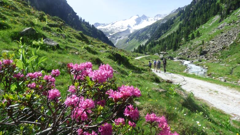 Wanderweg zur Zittauerhütte