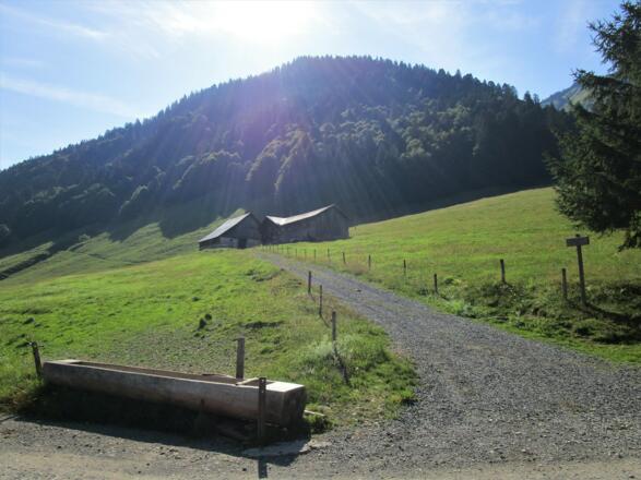 Kurz nach der Unteren Leuealpe wandern sie an der Unteren Probstalpe vorbei
