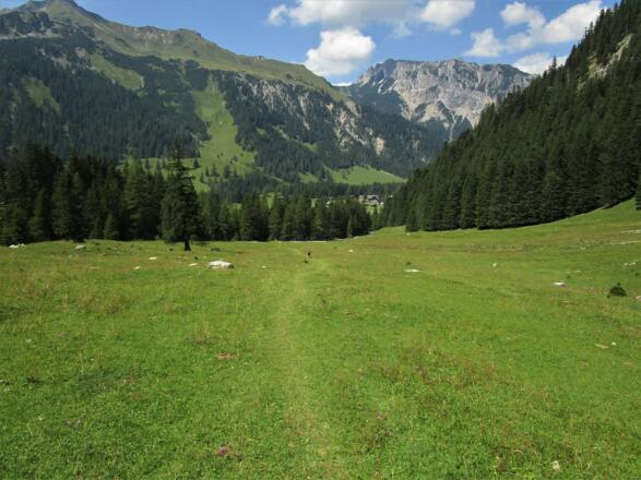 Kurz vor dem Nenzinger Himmel wird der Weg immer sanfter. Oberhalb der Häuser das Sareiser Joch