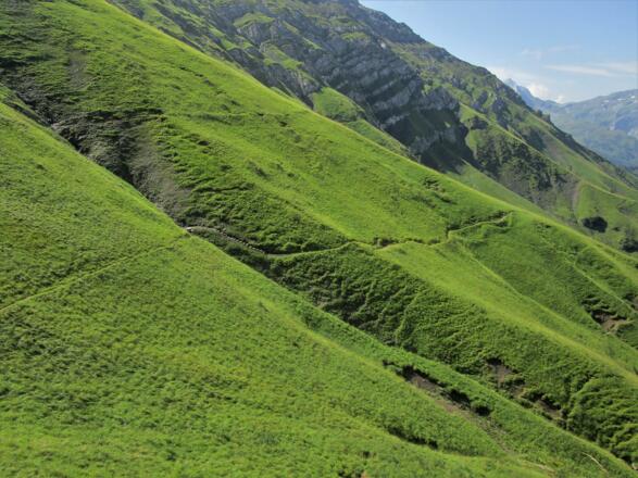 Weg durch die steilen Wiesen von Setsch zum Amatschonjoch