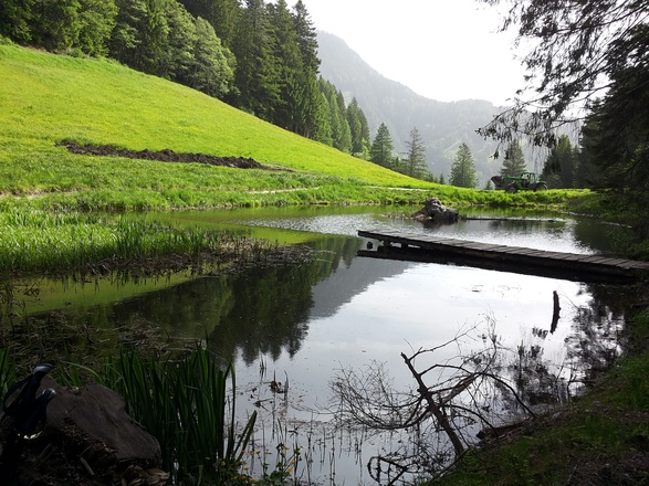 In Leogang