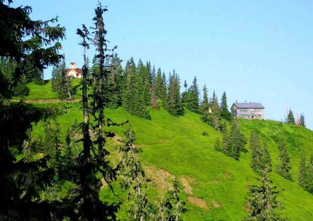 Heinrich Kiener Haus und Friedenskirche