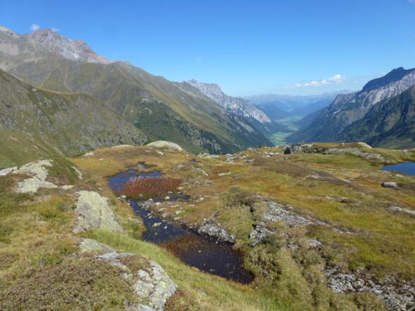 Biotop bei Bremer Hütte