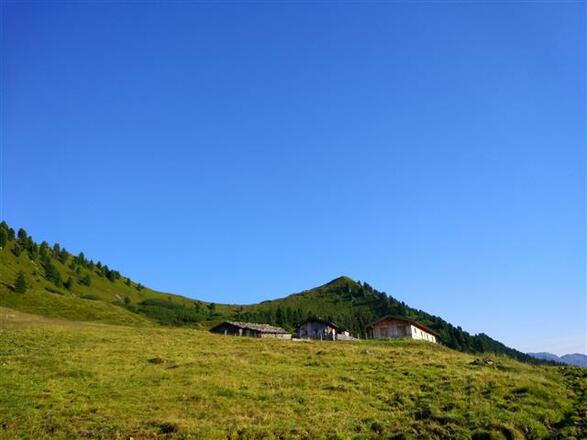 Hochleger Breiteggalm Breiteggspitz im Hintergrund