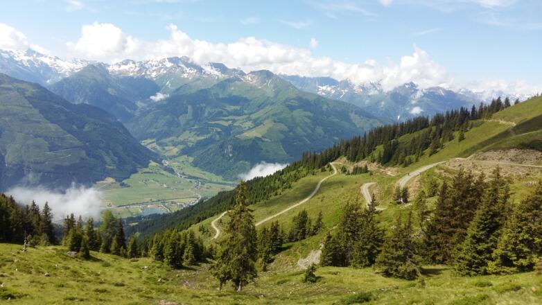 Forststraße Sonnbergweg