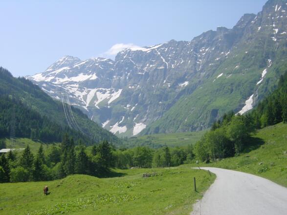 Die Hohen Tauern im Hintergrund