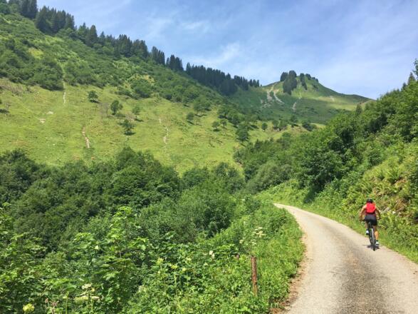 Am Gaßnerberg kurz vor der Gaßner Alpe