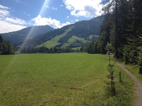 Panoramaweg 100 bei Gleiming