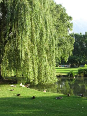 Stadtpark Innsbruck