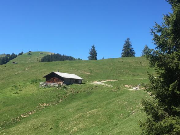 Astenalm