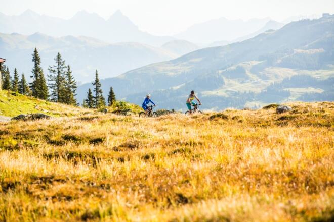 Herbstliche Wiesen in den Kitzbüheler Alpen