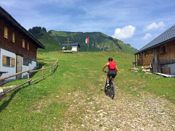 Gaßner Alpe