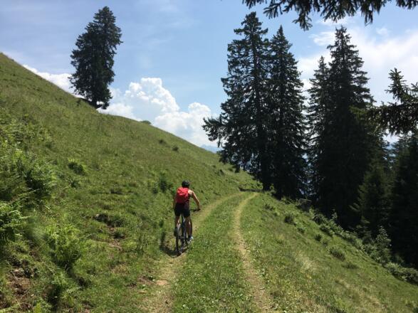 Kurz vor der Plansott Alpe