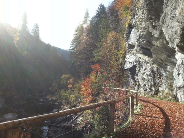 Untere Blühnbachtalstraße Herbst
