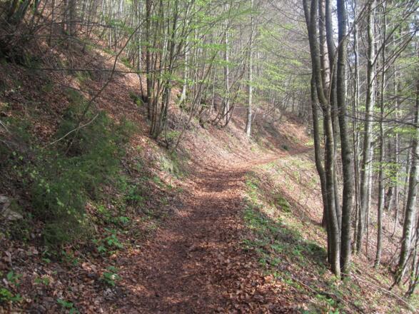 Am Weg nach St. Adolari