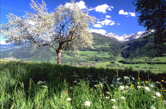 Panoramaweg 100 Sonnseite