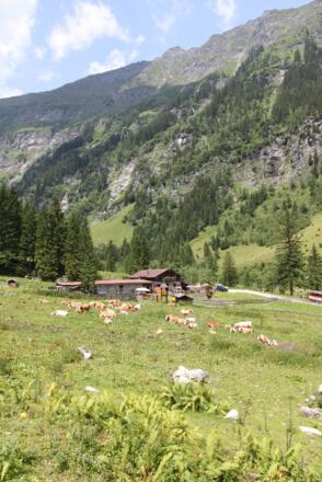 Untere Astenalm