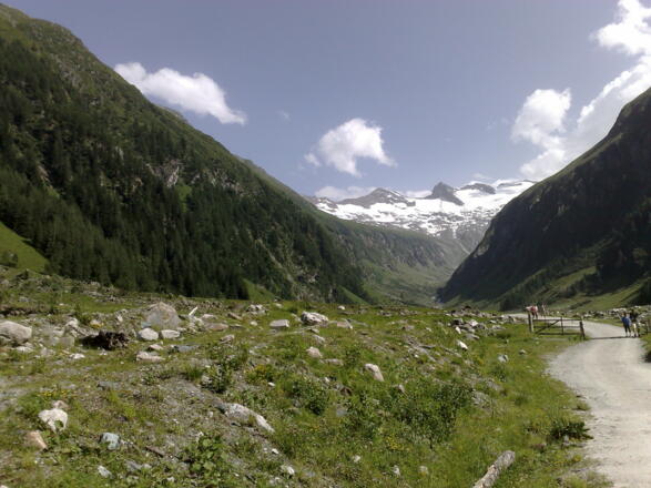 Blick zum Talschluss mit dem Schwarzkopf im Hintergrund