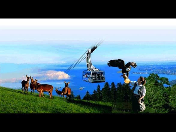 Was es da nicht alles zu sehen gibt!