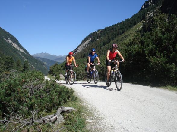 Duch Latschenwälder taleinwärts